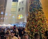 فيديو : اضاءة شجرة عيد الميلاد في مدينة الرملة 